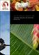Memoria SPDA 2009 Ingles.pdf.jpg